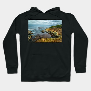 Pacific Coast Highway View Hoodie